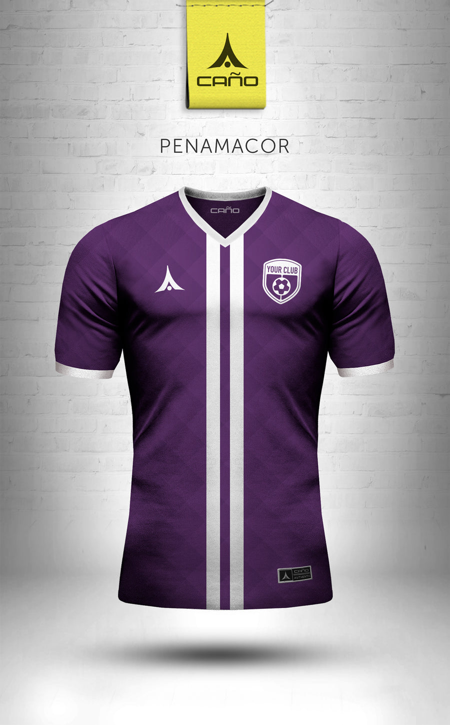 Penamacor in purple/white